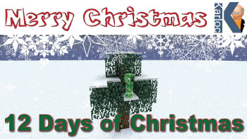 12 Days of Christmas